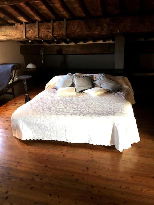 Romantic Studio In The Historical Heart Of Падуа Екстериор снимка